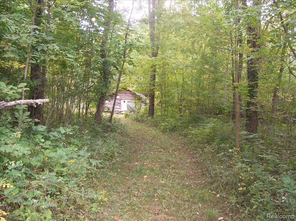 Cedar Creek Path