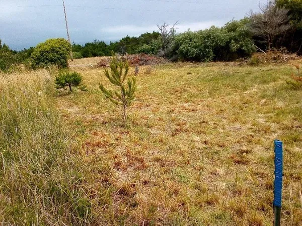 $15,500 | 235 Nemeth Street, Crescent City, CA 95531