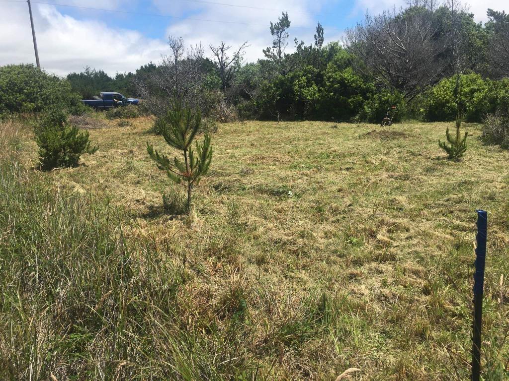235 Nemeth Street Crescent City, CA 95531 - Photo 4 of 10 a view of a yard