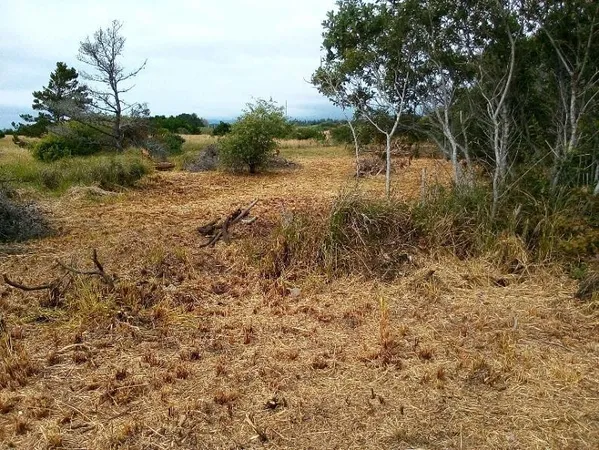 $15,500 | 235 Nemeth Street, Crescent City, CA 95531