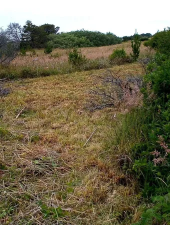 $15,500 | 235 Nemeth Street, Crescent City, CA 95531