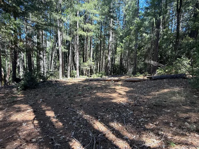 a view of outdoor space with trees