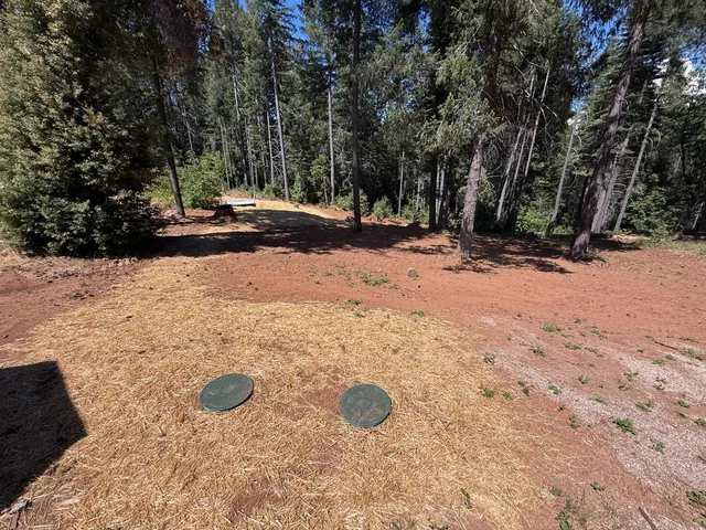 a view of outdoor space with trees