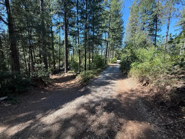 a view of a road with trees