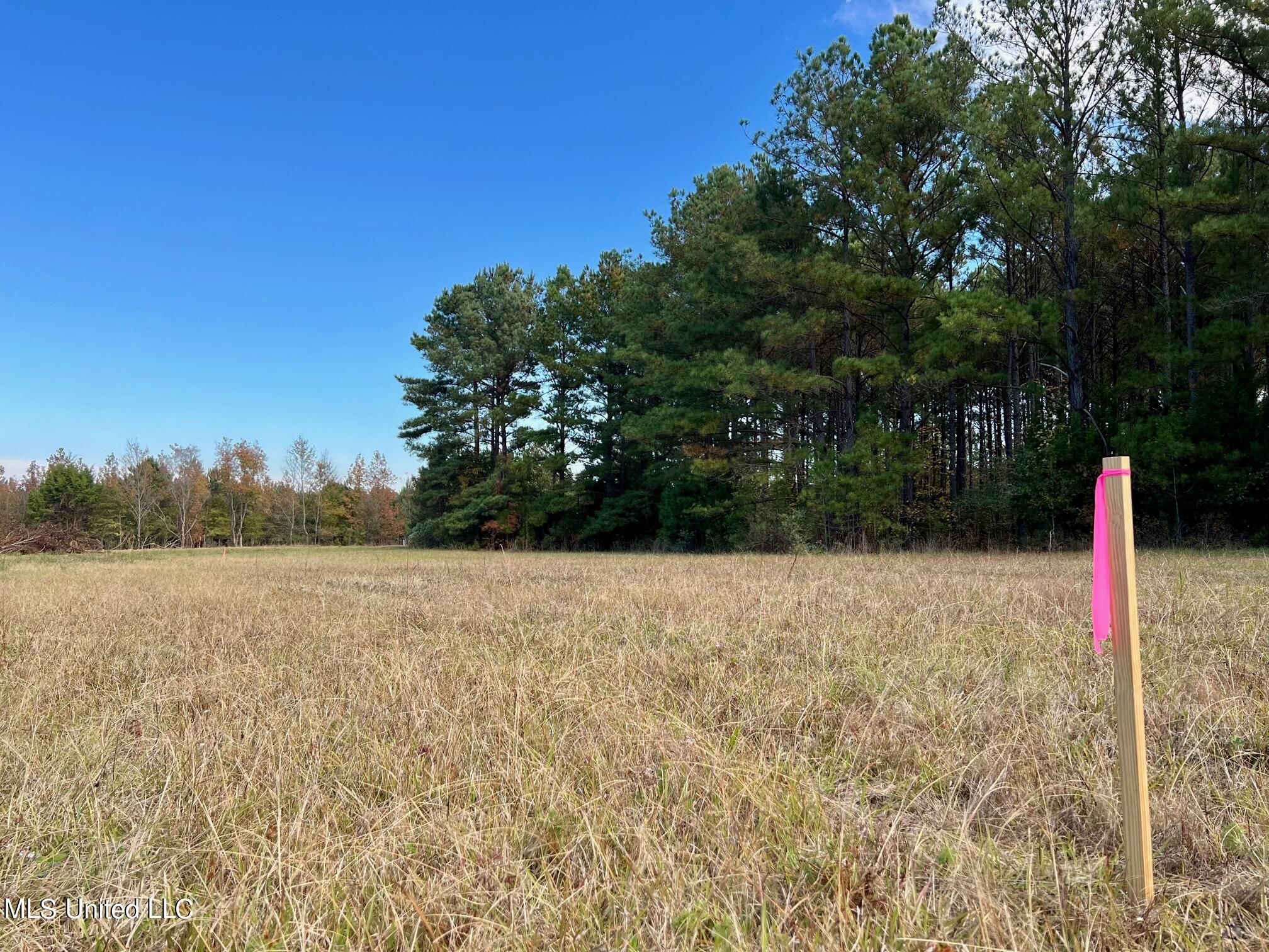 4 Stout Road Canton, MS 39046 - Photo 1 of 12 front