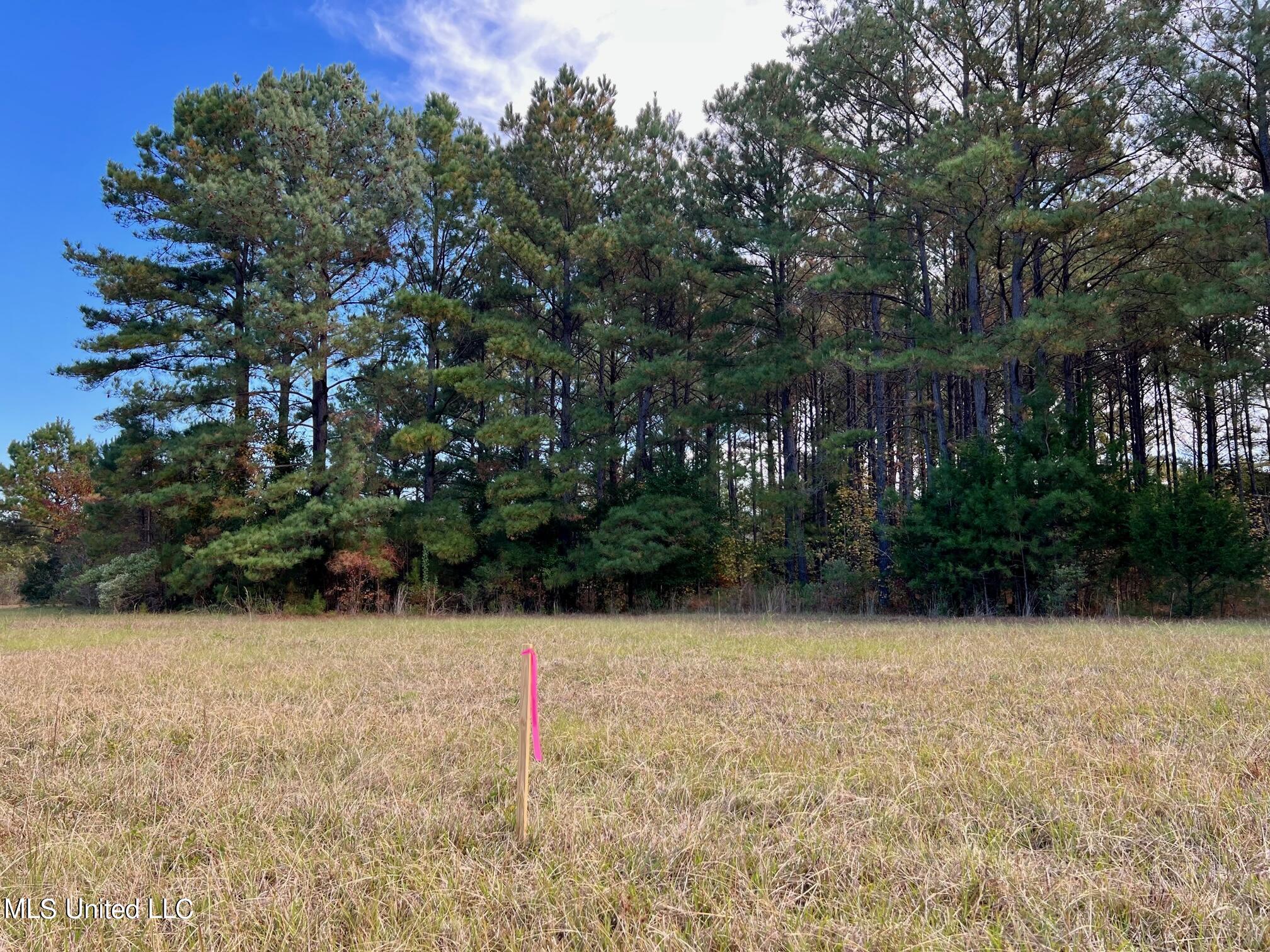4 Stout Road Canton, MS 39046 - Photo 11 of 12 IMG_1623