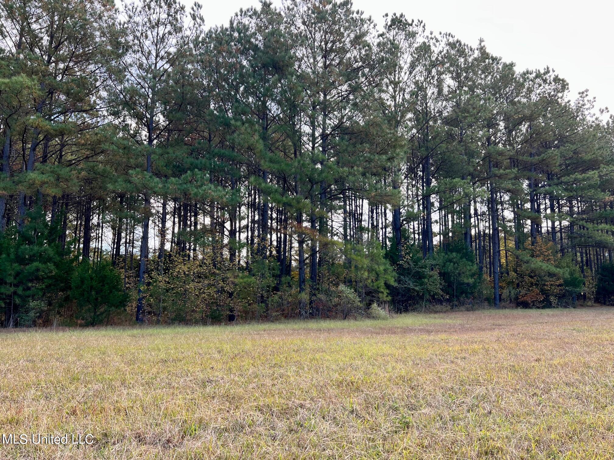 4 Stout Road Canton, MS 39046 - Photo 12 of 12 IMG_1624