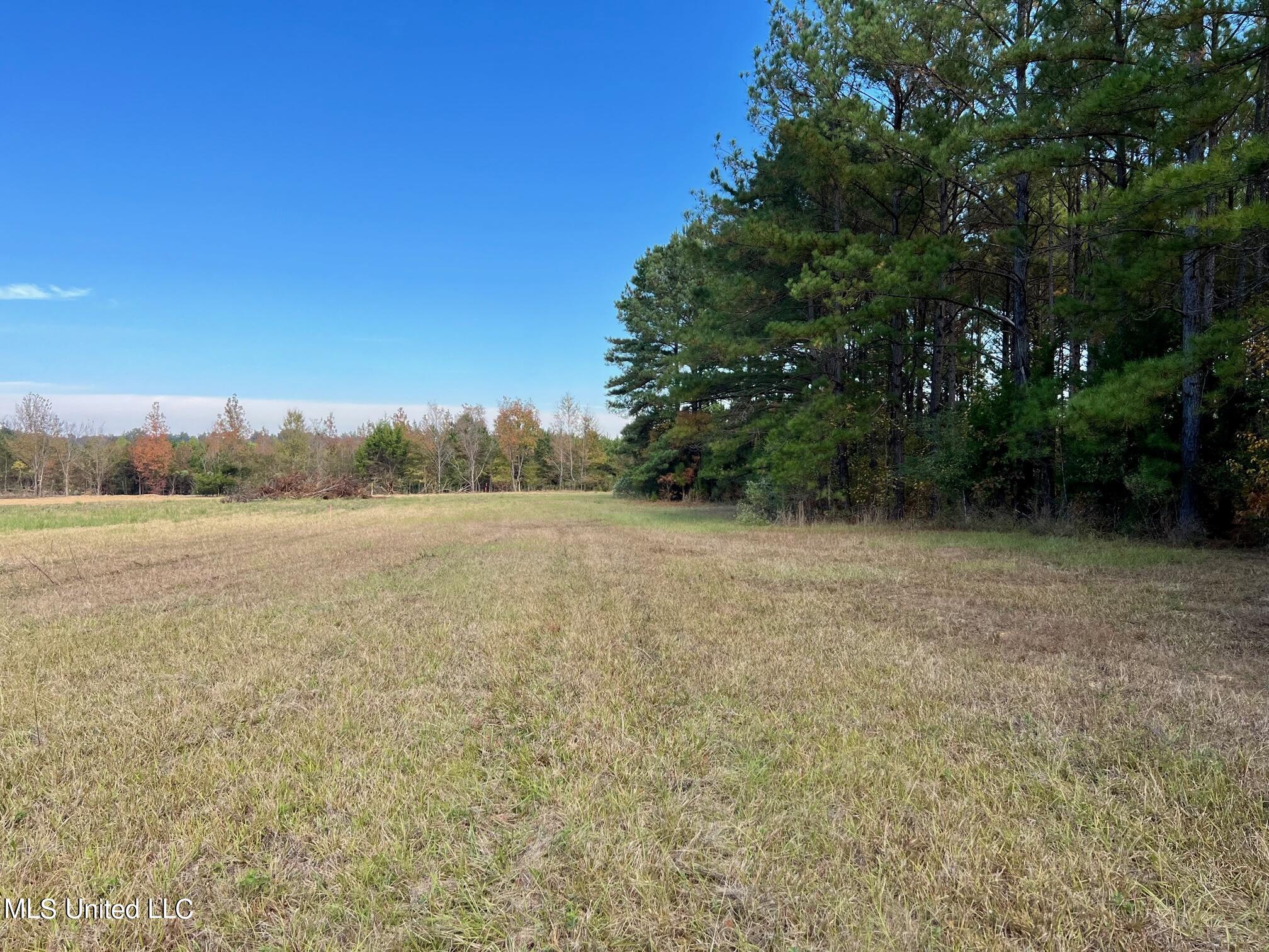 4 Stout Road Canton, MS 39046 - Photo 2 of 12 IMG_1627