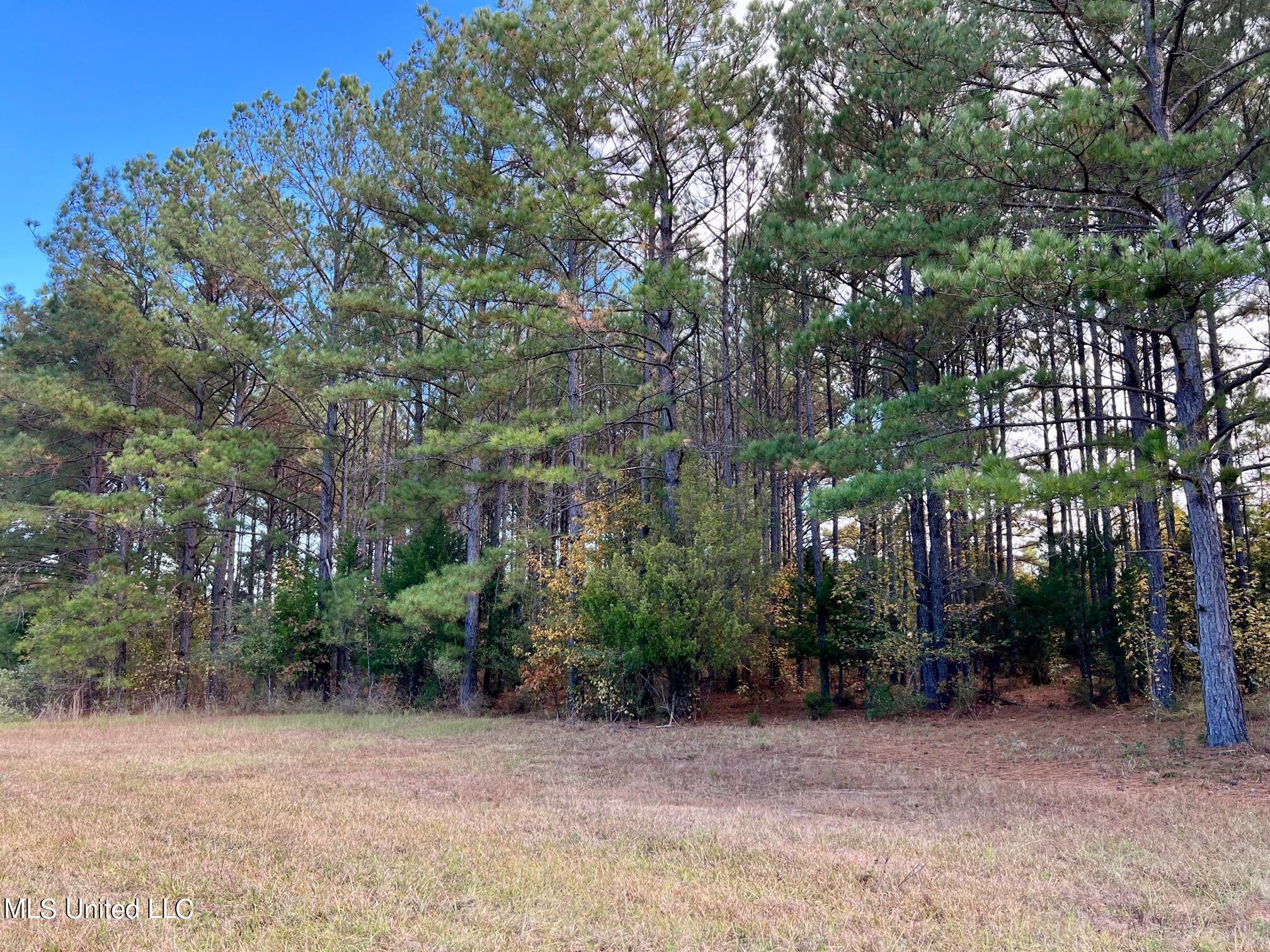 4 Stout Road Canton, MS 39046 - Photo 7 of 12 IMG_1626
