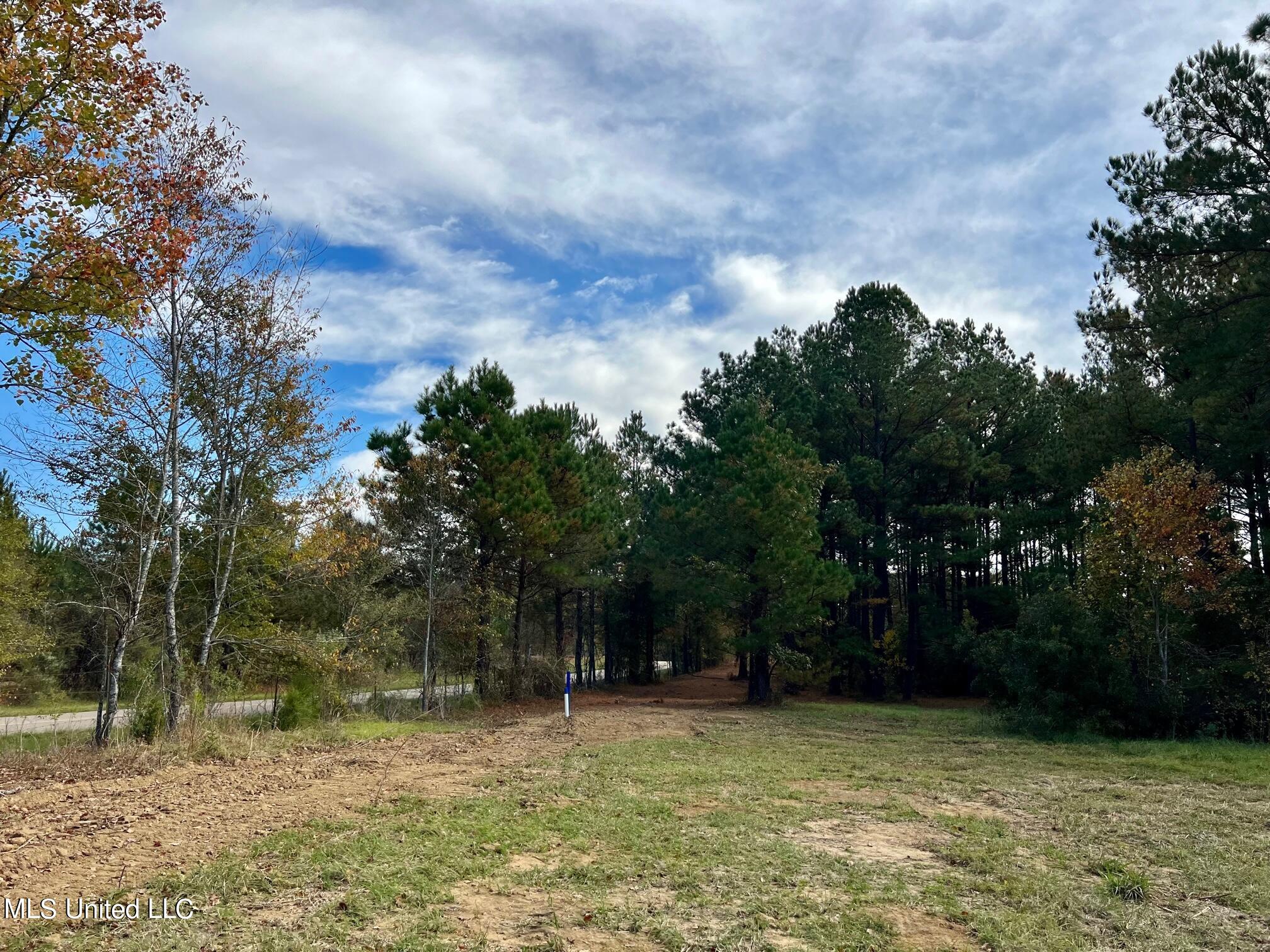 4 Stout Road Canton, MS 39046 - Photo 10 of 12 IMG_1622