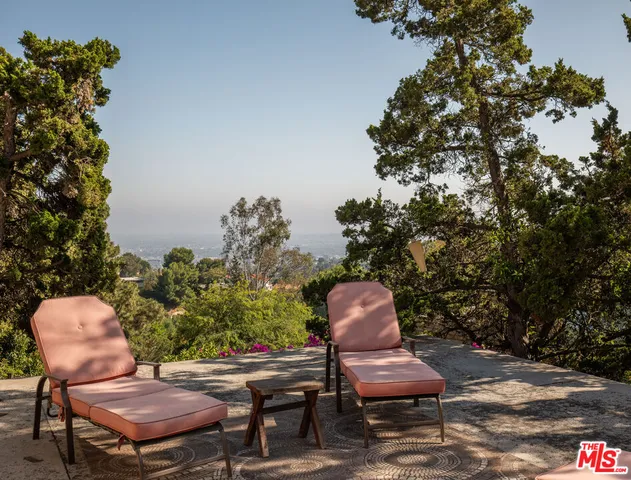 a close up of a tree in a yard