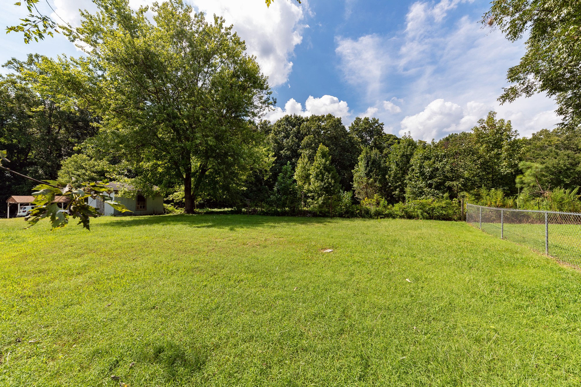 1274 Fall River Road Goodspring, TN 38460 - Photo 20 of 24 a view of a yard