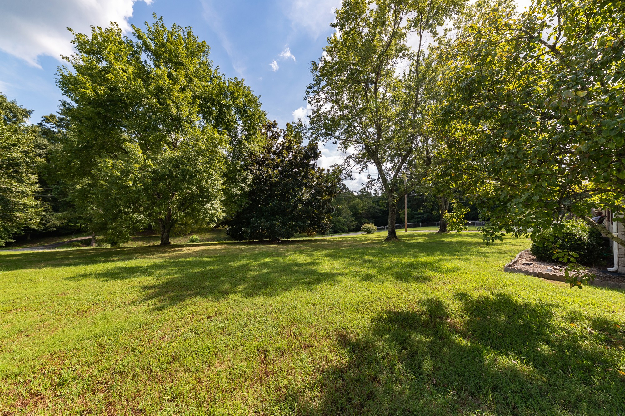 1274 Fall River Road Goodspring, TN 38460 - Photo 23 of 24 a view of a yard with a large trees