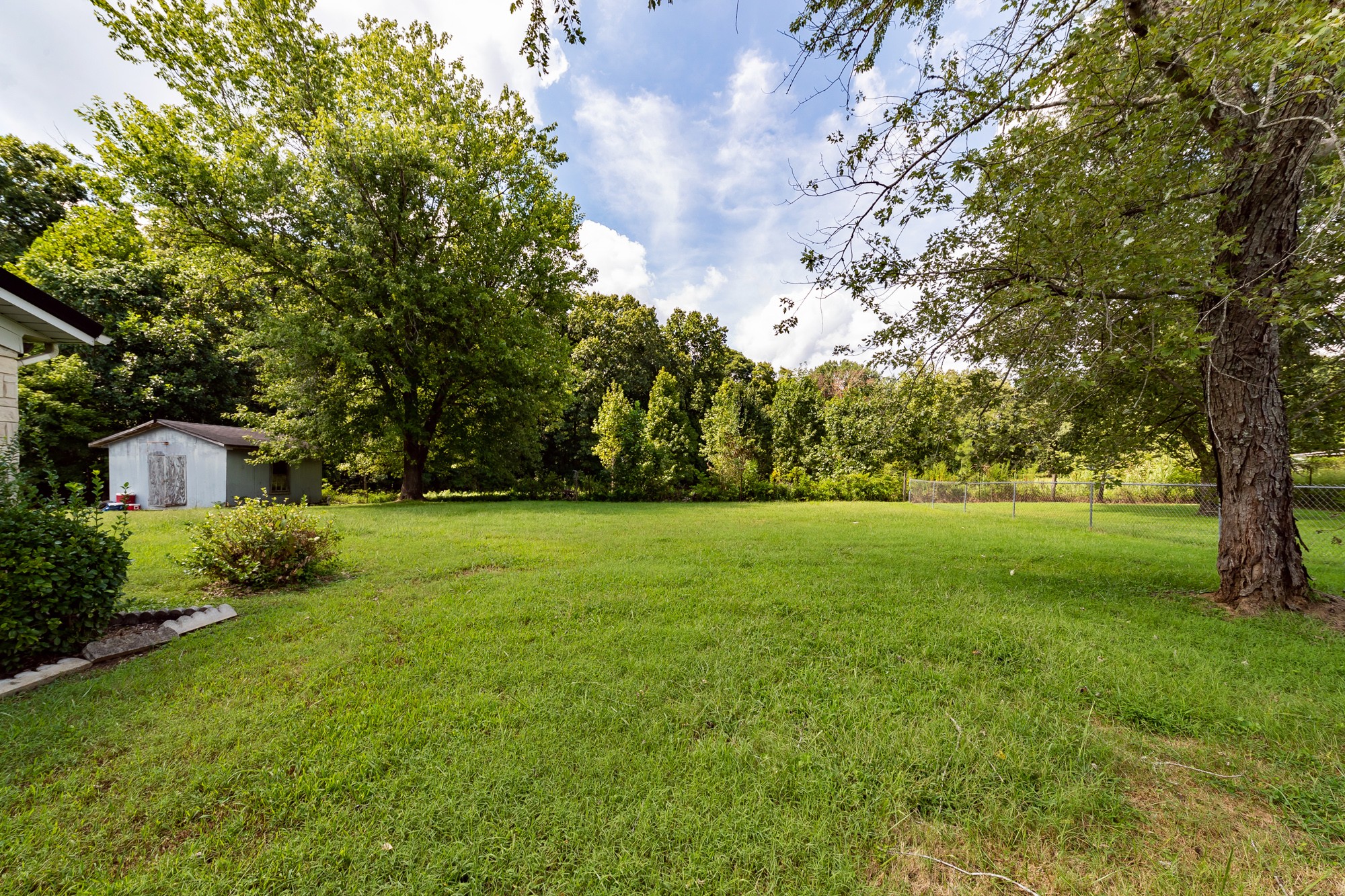 1274 Fall River Road Goodspring, TN 38460 - Photo 24 of 24 a view of a trees in a yard