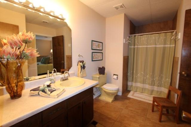 401 Highland Lake Road Union Hall, VA 24176 - Photo 26 of 37 Lower: Full Bath