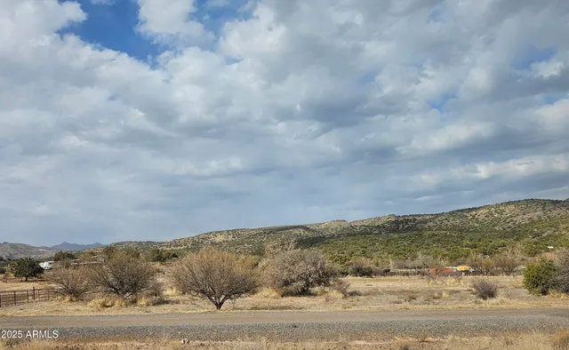 a view of a dry yard with trees