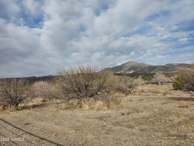 a view of a dry yard with trees