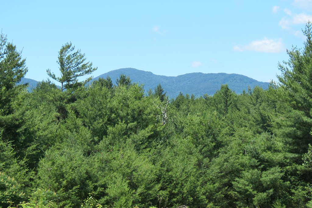 407 Upper Jay-Trumbulls Corners Road Jay, NY 12941 - Photo 8 of 25
