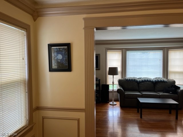 1227 Winston Road Cleveland, OH 44121 - Photo 2 of 15 Living room featuring plenty of natural light, dark hardwood / wood-style flooring, and ornamental molding