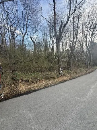 a view of a dry yard with trees
