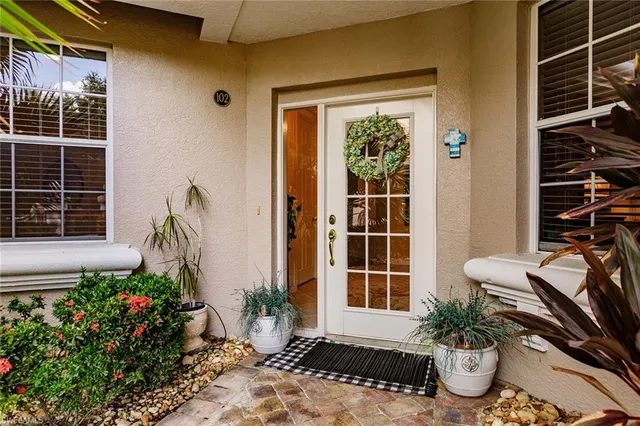 a potted plant sitting in front of a house
