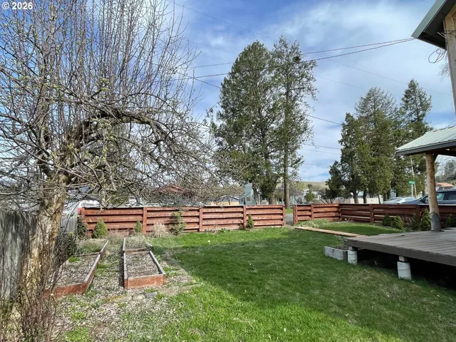 a view of a backyard with plants and a tree