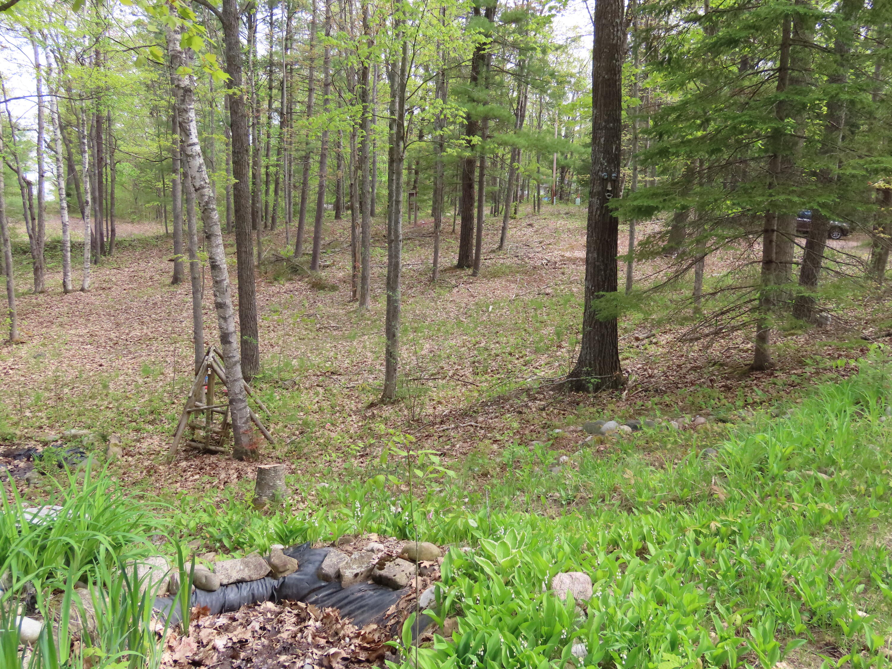 15709 Pleasant Valley Road Atlanta, MI 49709 - Photo 57 of 65 IMG_8794