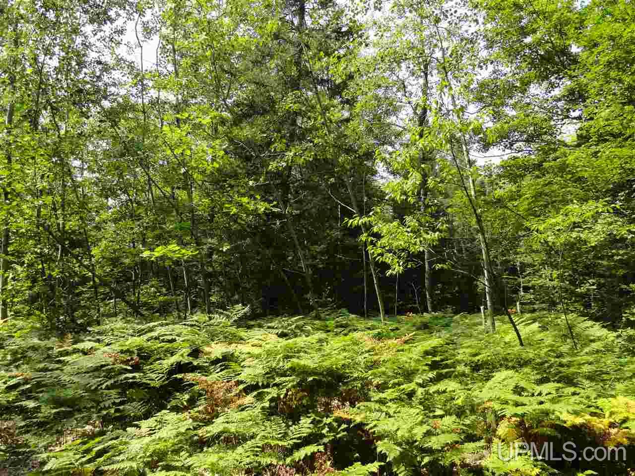 40-acres 40-acres Co Road Ishpeming, MI 49849 - Photo 4 of 36