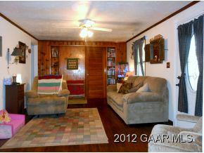 262 Augusta Farms Road Waynesboro, VA 22980 - Photo 8 of 17 a living room with a couch and a potted plant