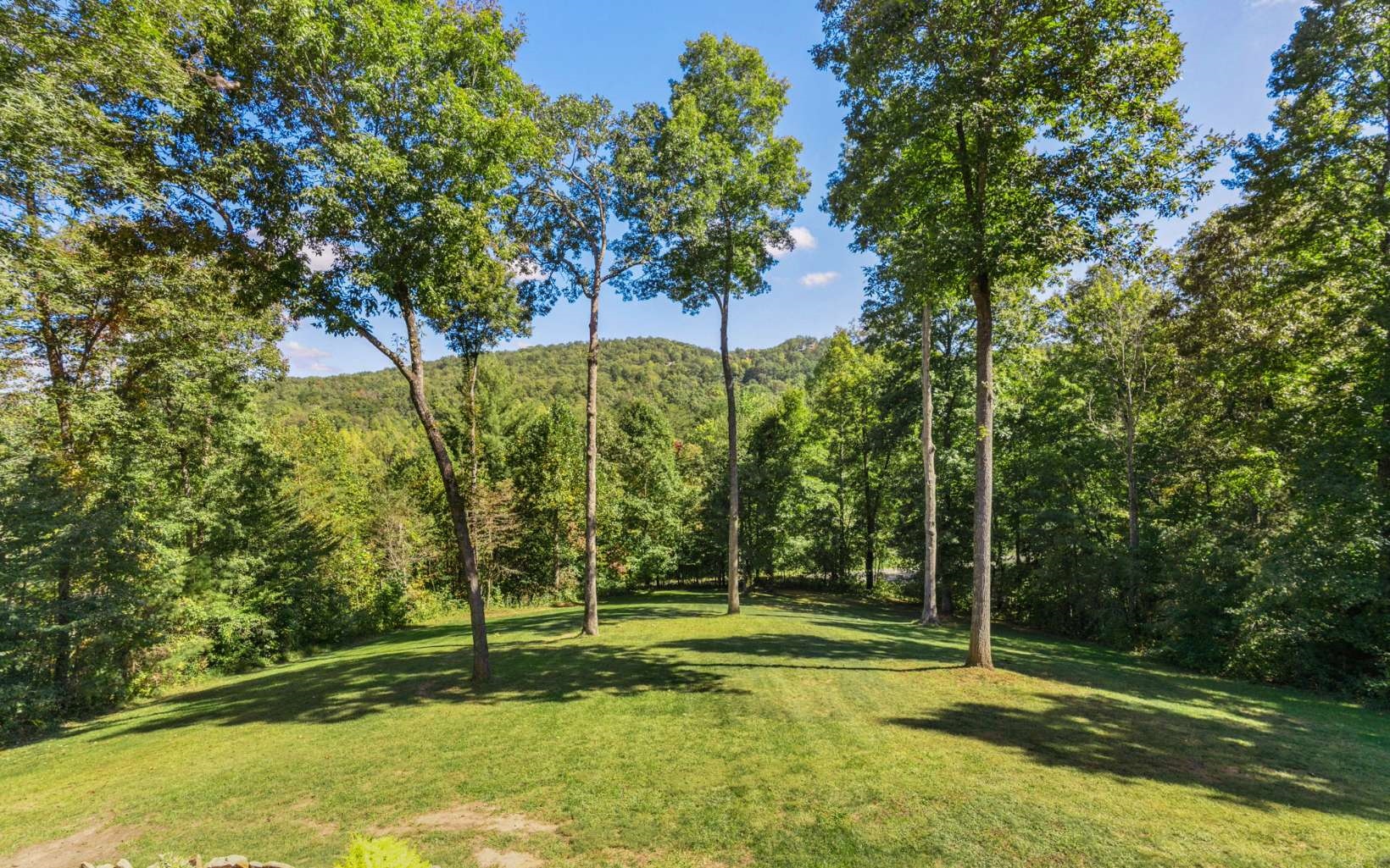 42 Overlook Road Blue Ridge, GA 30513 - Photo 61 of 63 Additional View