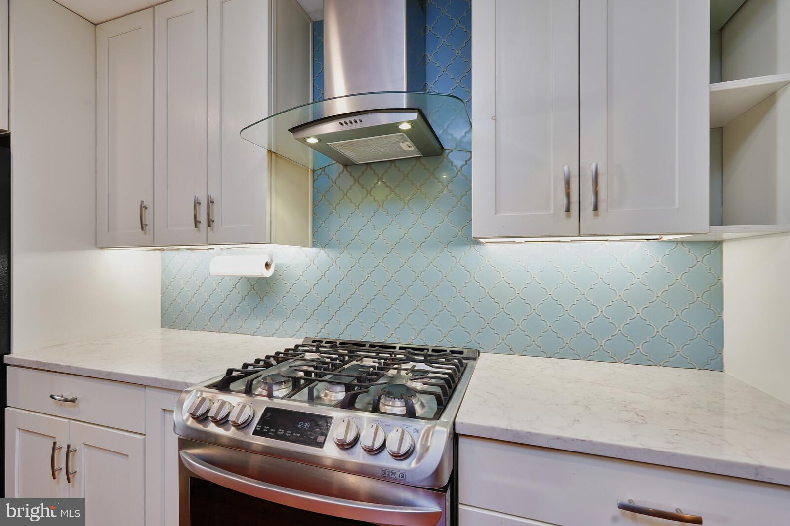 225 Rolling Road Gaithersburg, MD 20877 - Photo 18 of 59 Gas Range