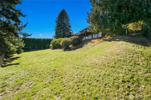 a view of a yard with an trees