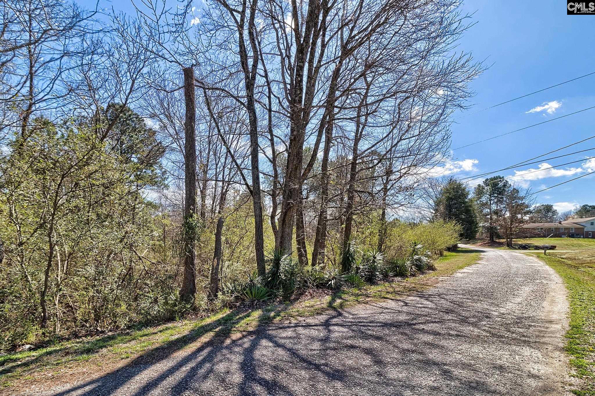 0 Smallstown Road Winnsboro, SC 29180 - Photo 3 of 27