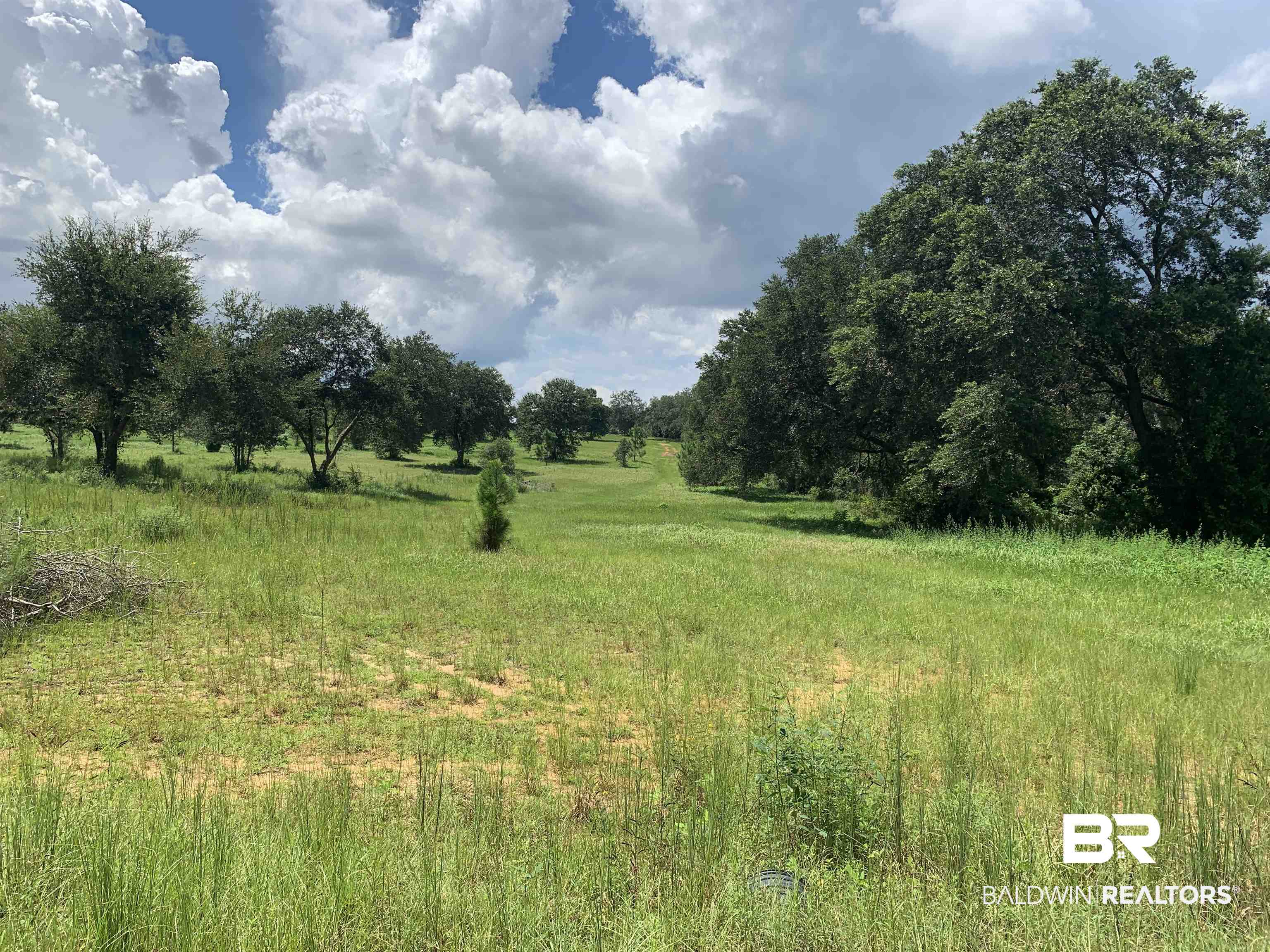 Woodhaven Dairy Road Summerdale, AL 36580 - Photo 8 of 10