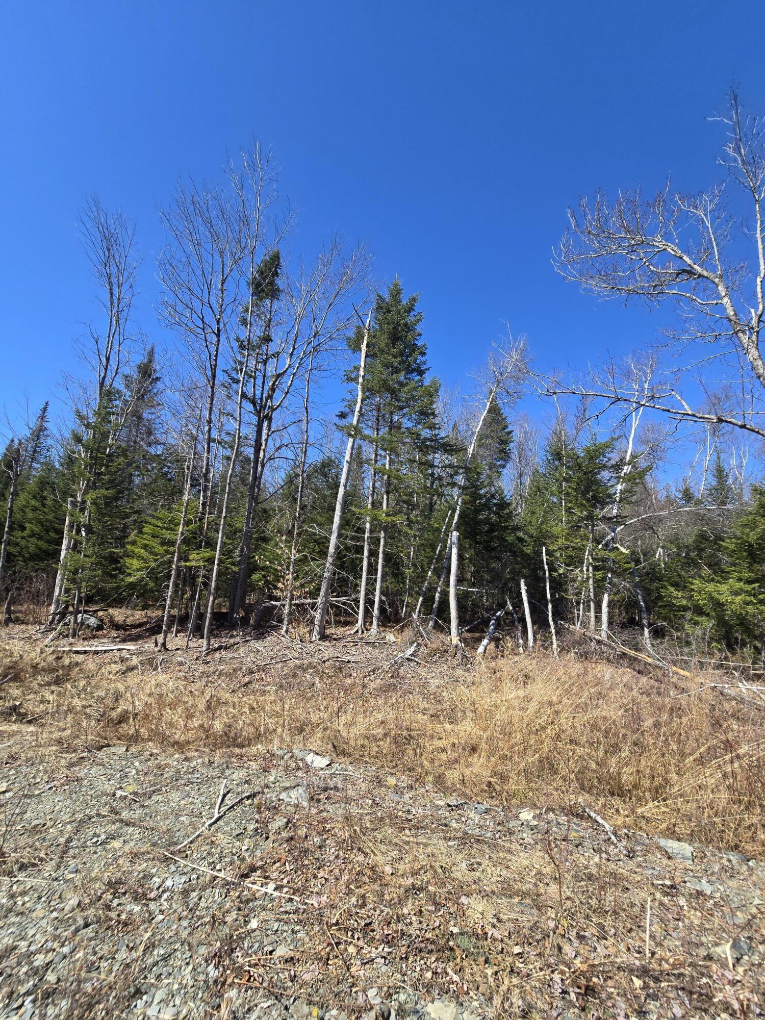 0 Chadbourne Road Harmony, ME 04942 - Photo 8 of 22 20260408_140349