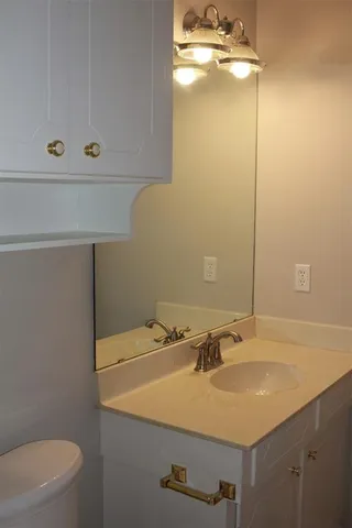 a bathroom with a sink and a toilet