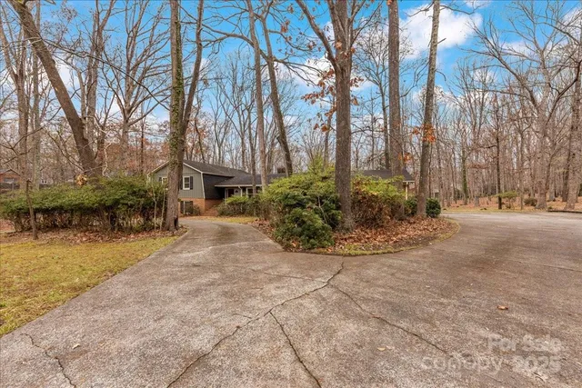 a view of a house with a large tree in front of it