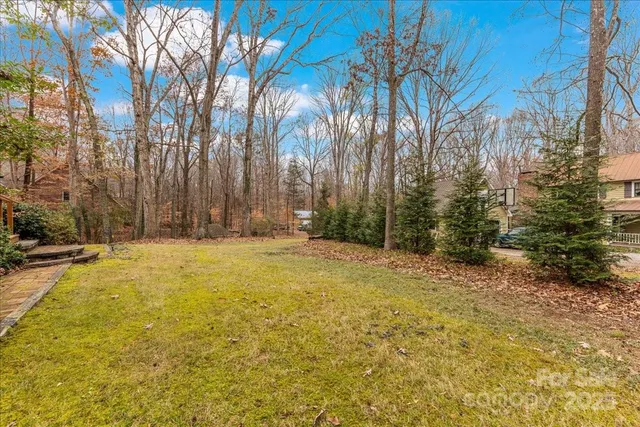 a view of a yard with a large tree