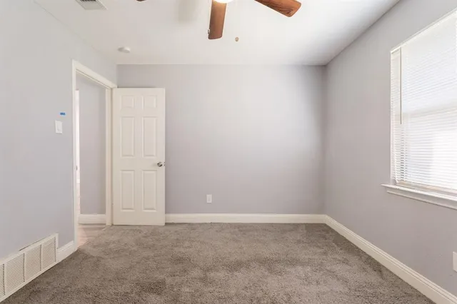 a view of a yard with a large tree