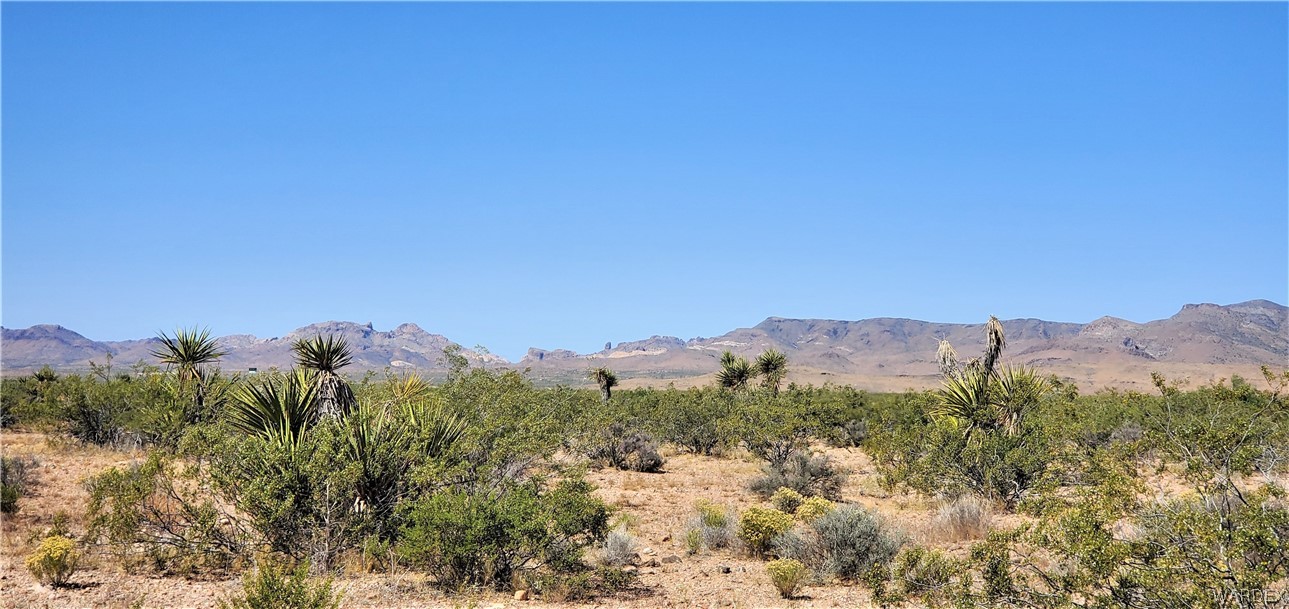 5809 Elfrida Road Golden Valley, AZ 86413 - Photo 41 of 64 a view of a city with a mountain in the background