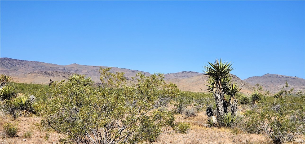 5809 Elfrida Road Golden Valley, AZ 86413 - Photo 45 of 64 a view of a city with a mountain in the background