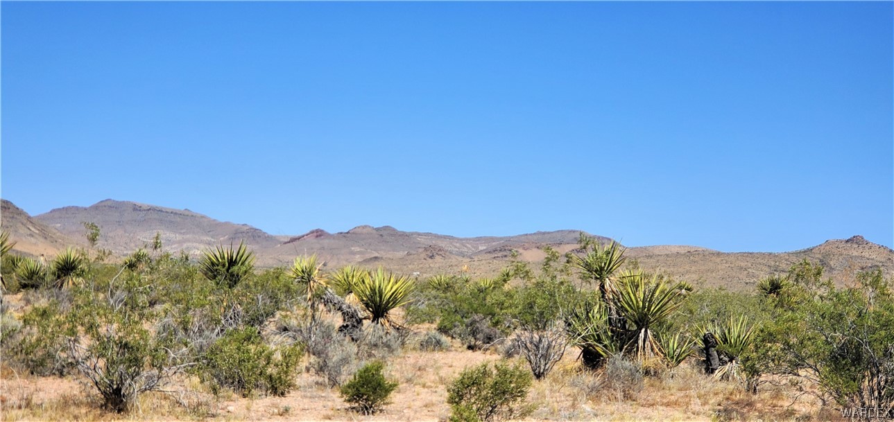5809 Elfrida Road Golden Valley, AZ 86413 - Photo 46 of 64 a view of a mountain range with a lush green forest