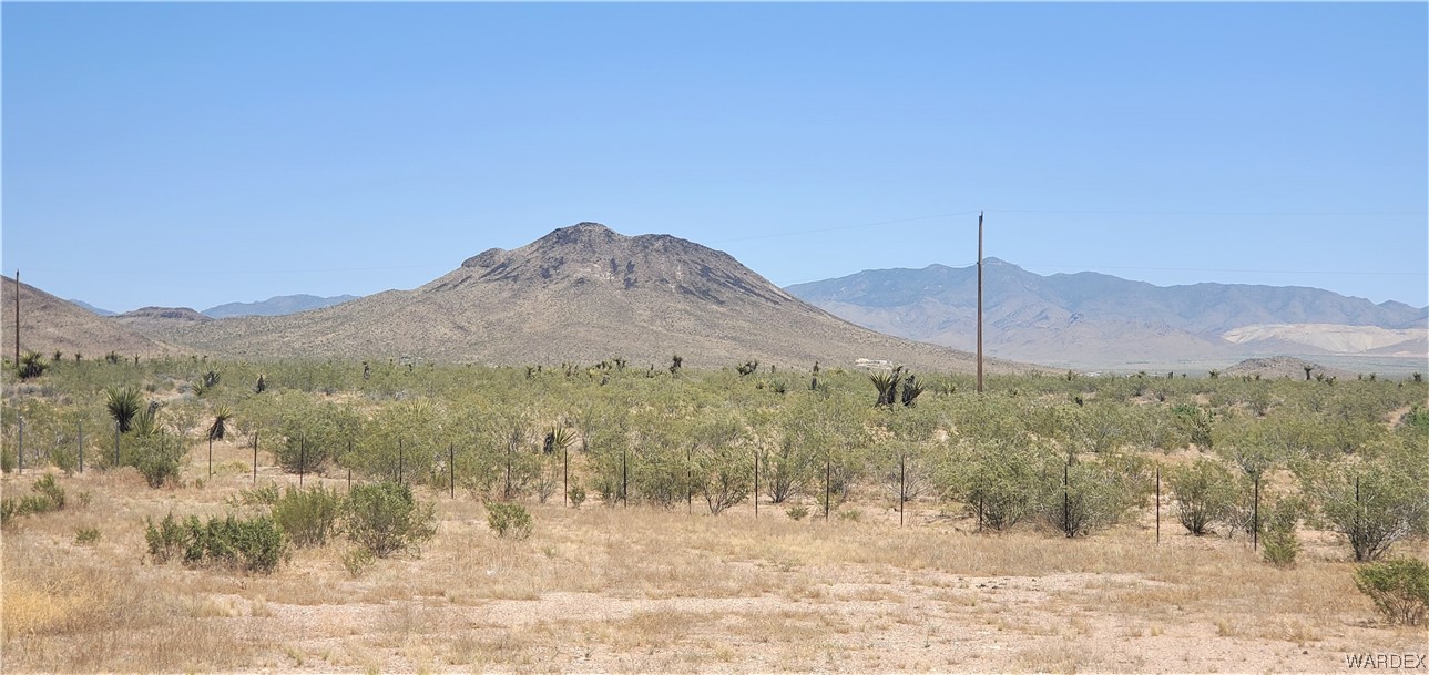 5809 Elfrida Road Golden Valley, AZ 86413 - Photo 51 of 64 a view of a yard