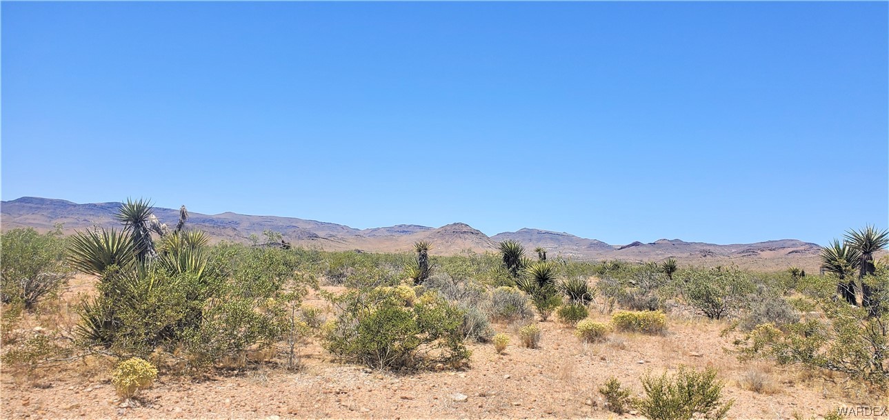 5809 Elfrida Road Golden Valley, AZ 86413 - Photo 58 of 64 a view of a mountain range with a lush green forest