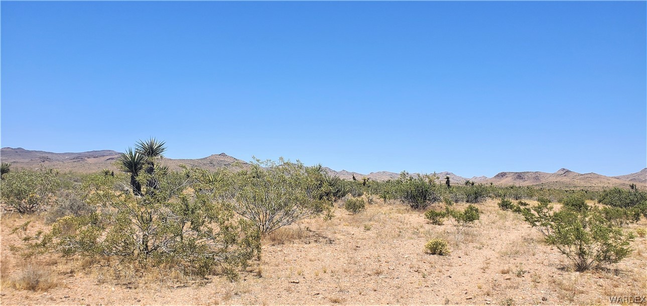 5809 Elfrida Road Golden Valley, AZ 86413 - Photo 59 of 64 a view of a dry yard with mountains in the background