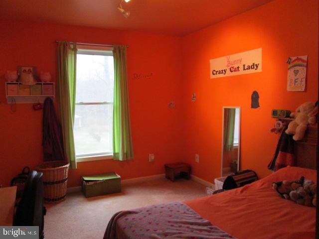 582 Smokestown Road Denver, PA 17517 - Photo 11 of 16