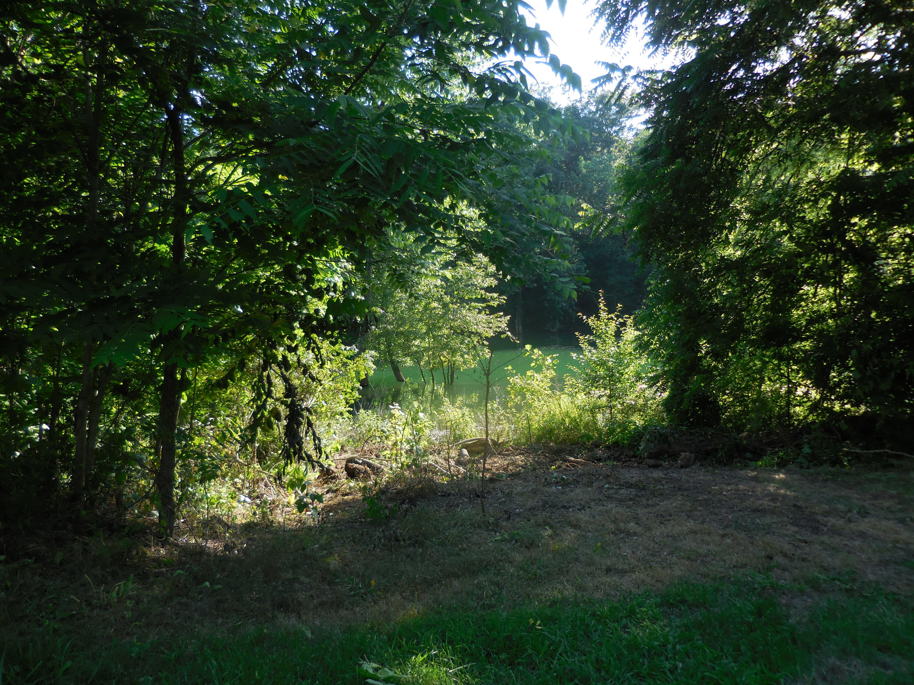 2125 Boat Dock Road, Unit 31R Talbott, TN 37877 - Photo 1 of 8 DSCN1800