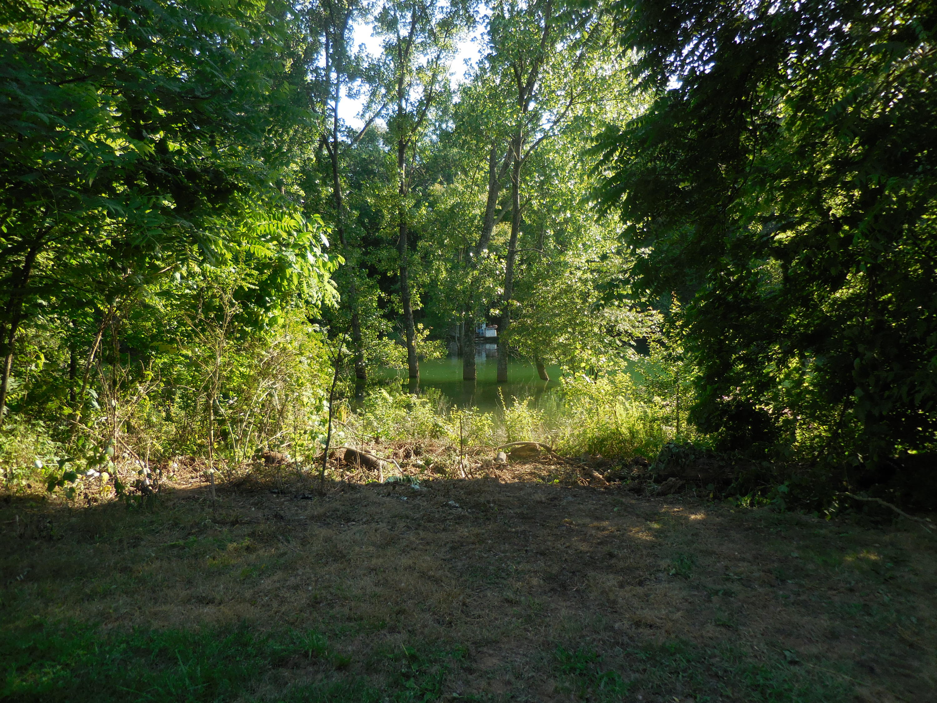 2125 Boat Dock Road, Unit 31R Talbott, TN 37877 - Photo 6 of 8 DSCN1801