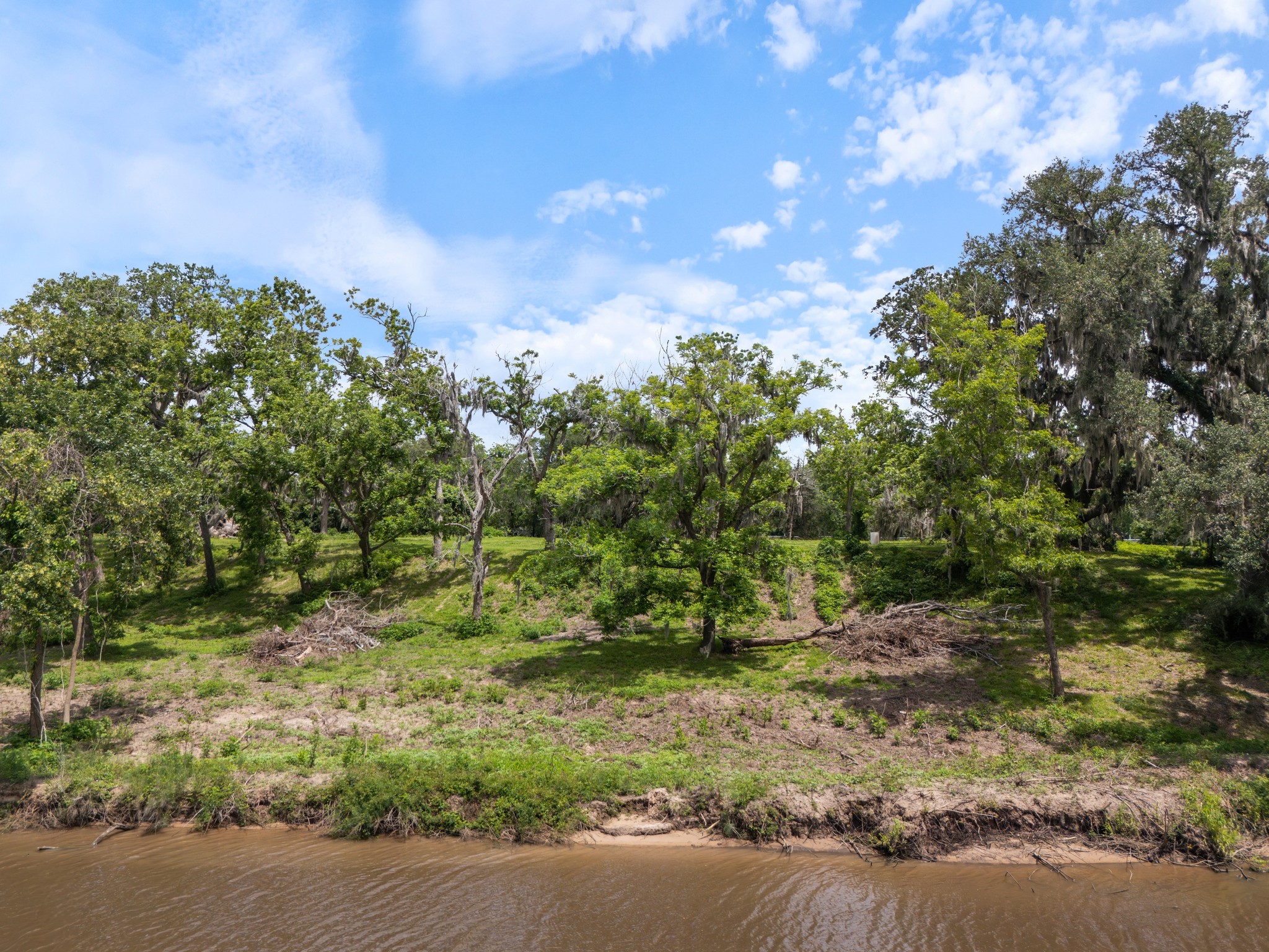4610 FM 522 Road Brazoria, TX 77422 - Photo 18 of 18 a backyard of a house with lots of green space