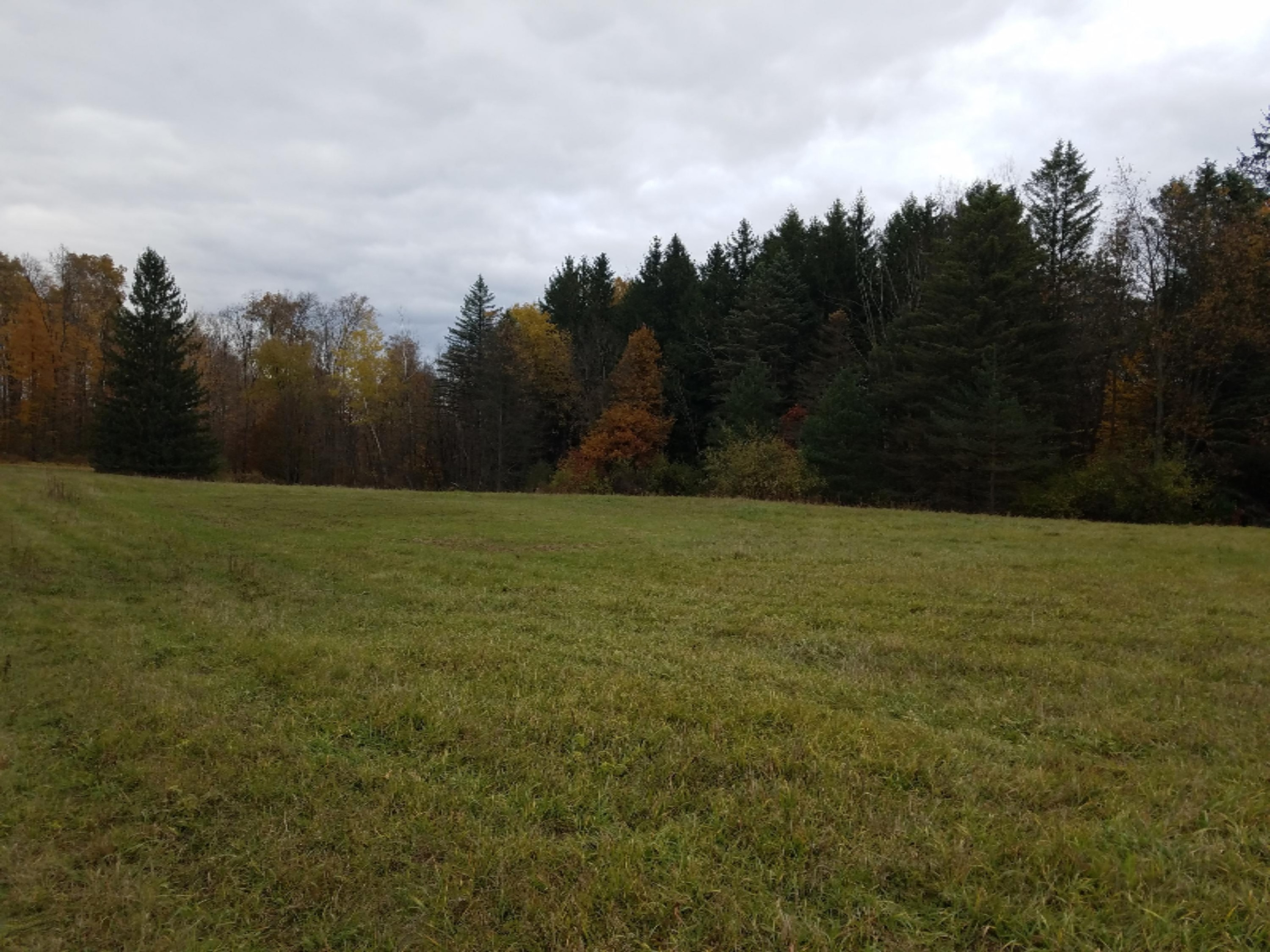 Lot 1 Hjermstad Road Ionia, MI 48846 - Photo 1 of 13 20181102_171203